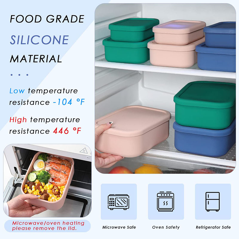 Bento Lunch Box resistente all - Food Box Baby recensione e prezzo