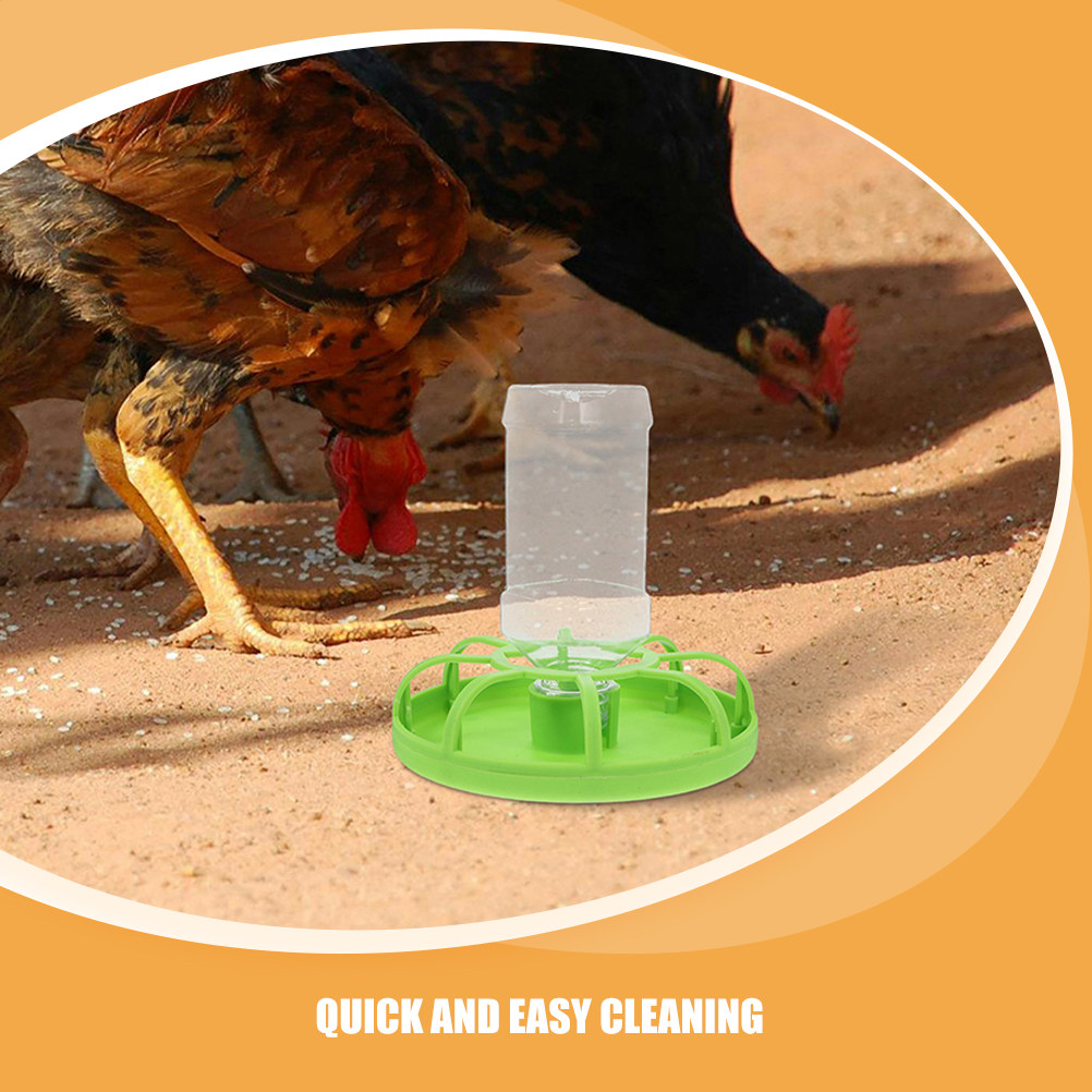 2 Set di Mangiatoie per Quagli - Baby Food Dispenser recensione e prezzo